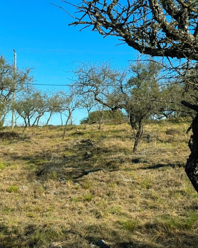 VENTA DE LOTE EN TIERRAS DEL SAUCE