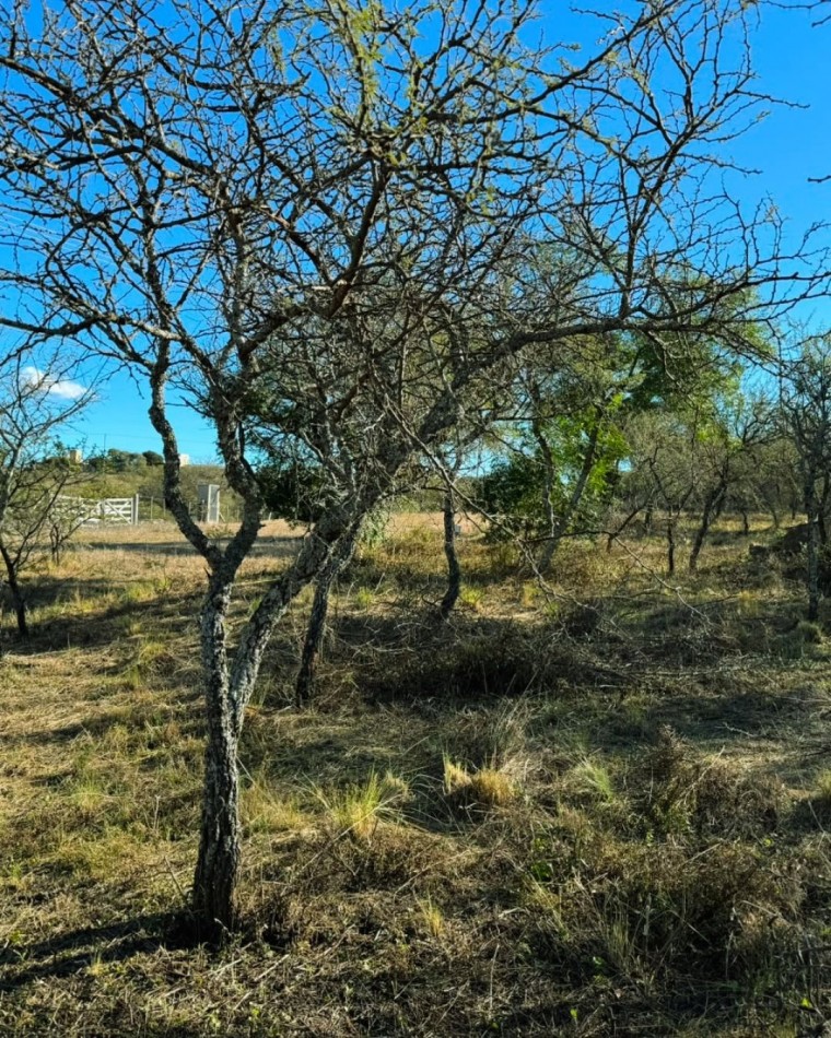 VENTA DE LOTE EN TIERRAS DEL SAUCE