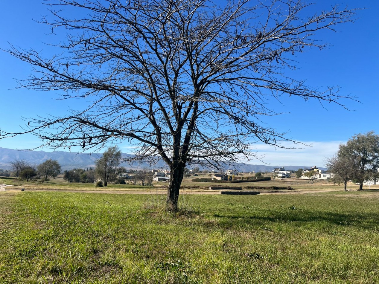 VENTA DE LOTE 2.061 MTS² - BARRIO ALTOS DEL CORRAL - LOS REARTES