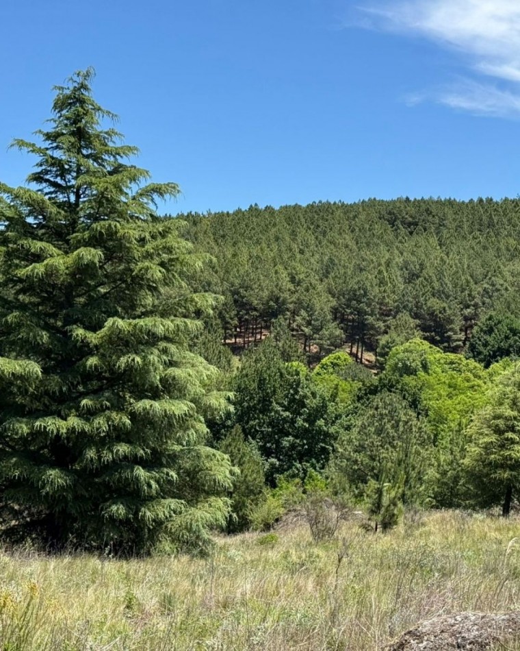 Lotes en Chacras de San Miguel