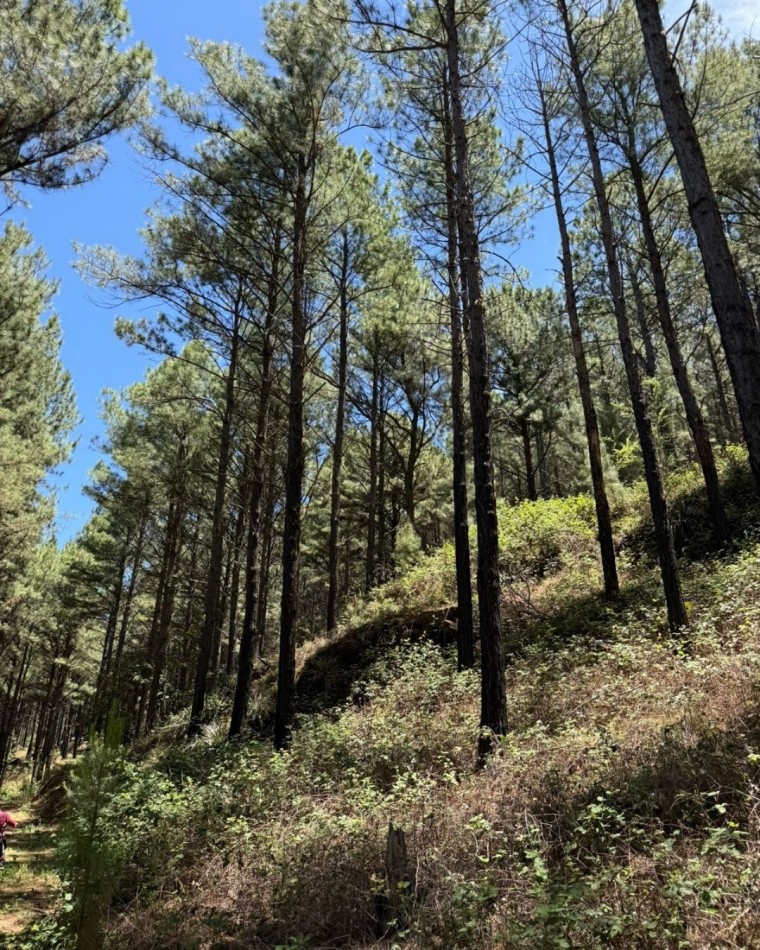 Lotes en Chacras de San Miguel