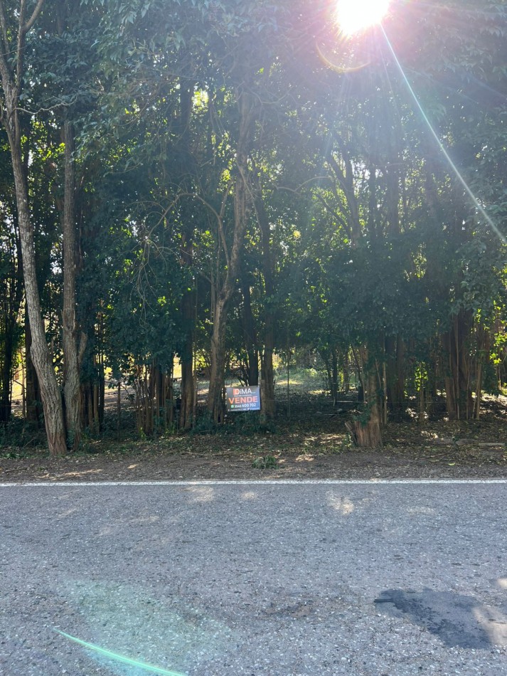 VENTA DE 3 LOTES SOBRE BOULEVARD LOS REARTES - VILLA CIUDAD PARQUE