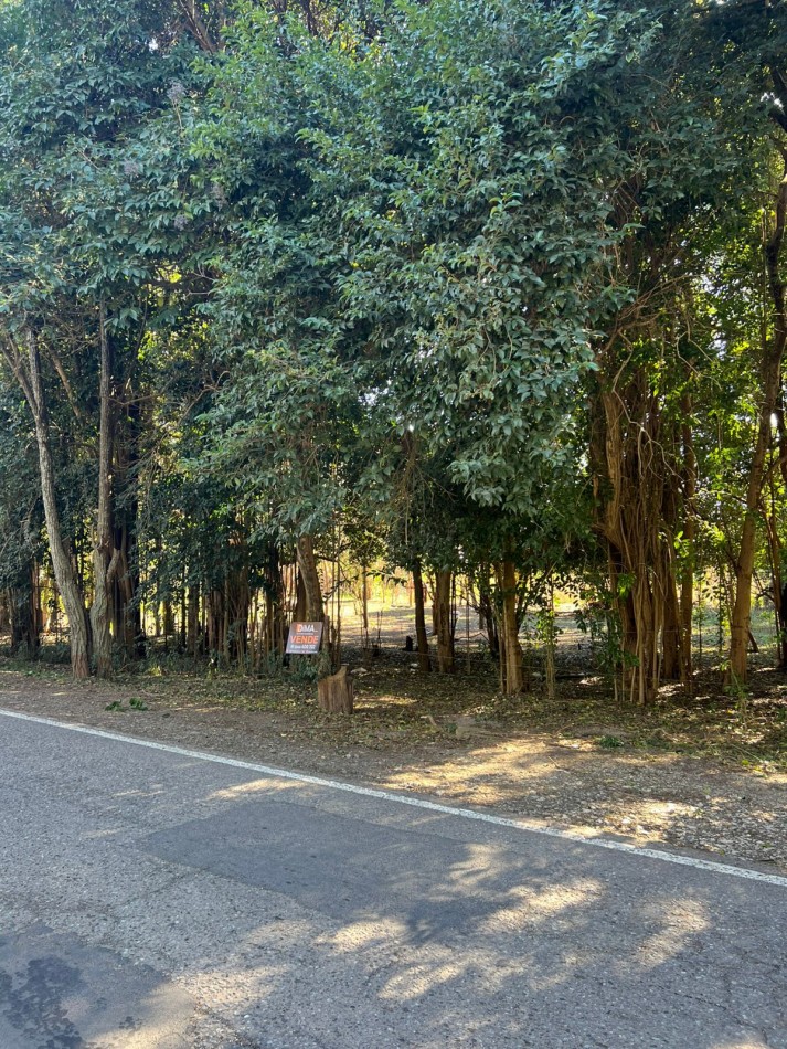 VENTA DE 3 LOTES SOBRE BOULEVARD LOS REARTES - VILLA CIUDAD PARQUE