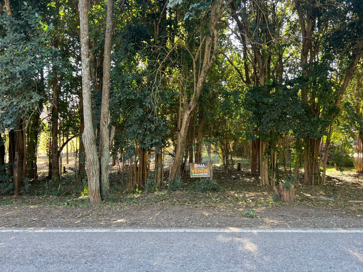 VENTA DE 3 LOTES SOBRE BOULEVARD LOS REARTES - VILLA CIUDAD PARQUE