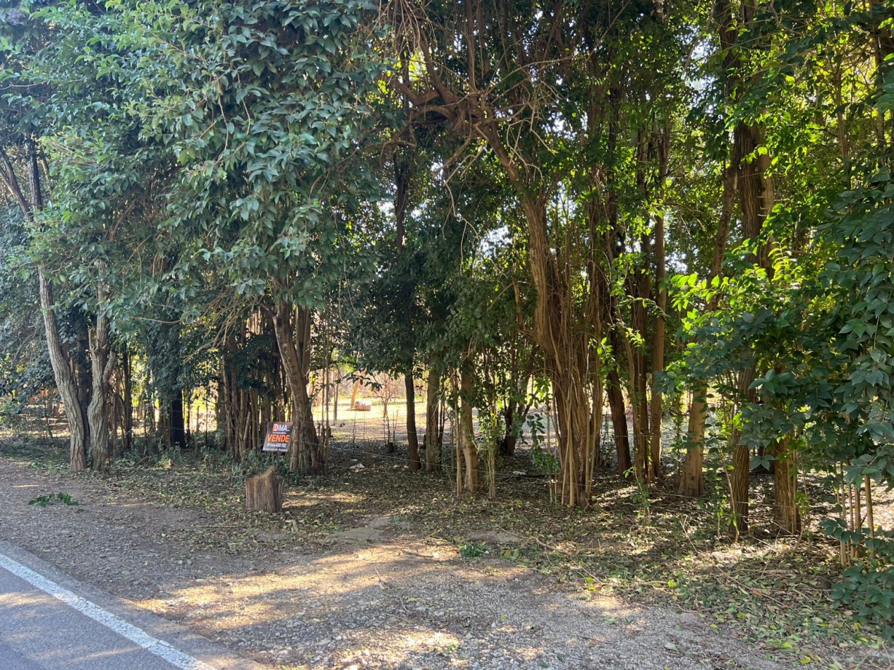 VENTA DE 3 LOTES SOBRE BOULEVARD LOS REARTES - VILLA CIUDAD PARQUE