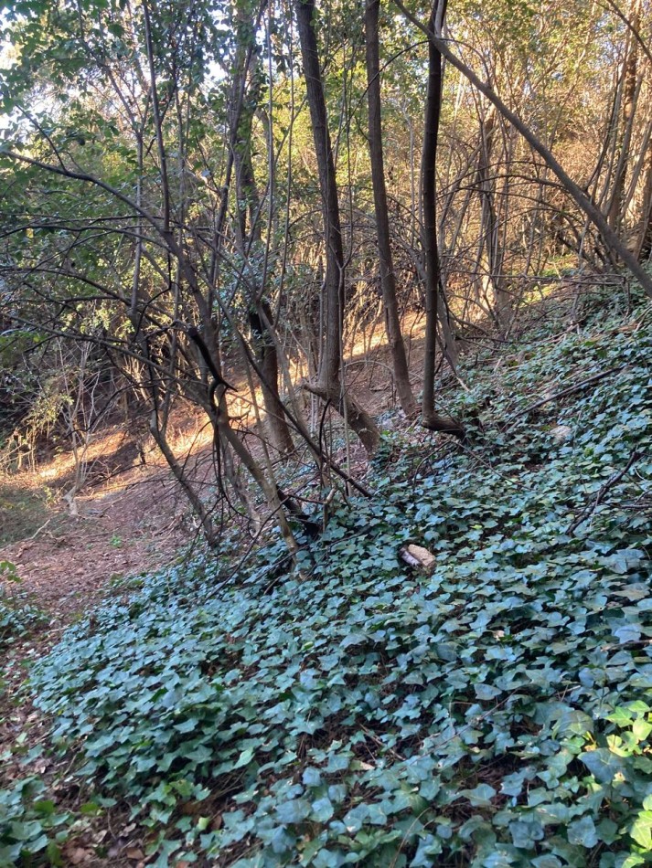 VENTA LOTE 1.366 MTS2 - LA CUMBRECITA