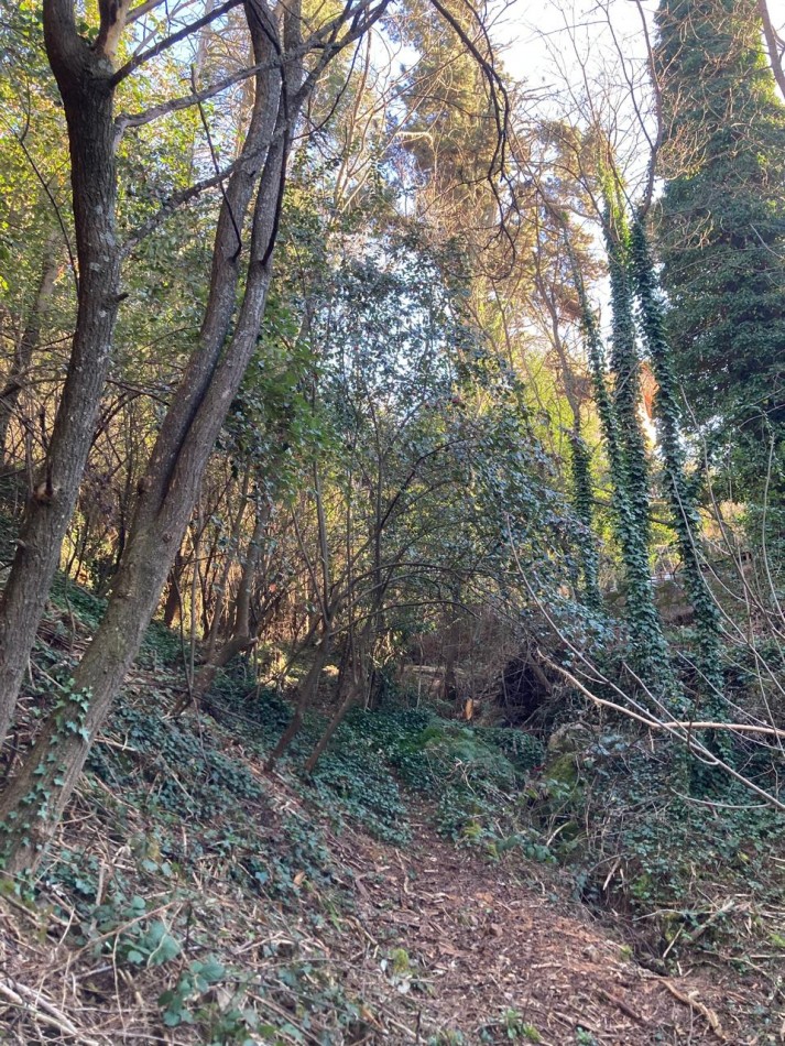 VENTA LOTE 1.366 MTS2 - LA CUMBRECITA