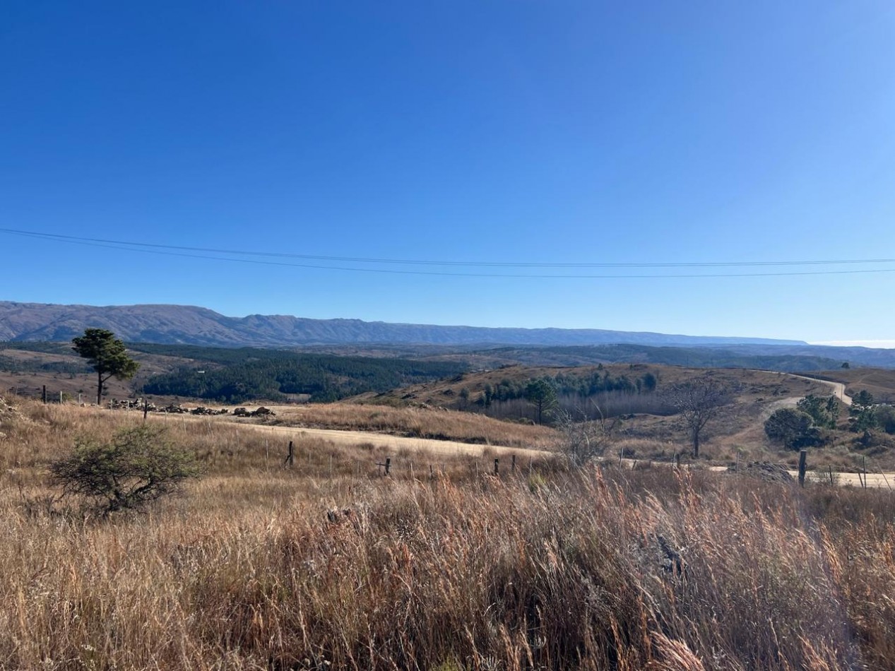LOTES EN VENTA EN YACANTO - CON POSIBILIDAD DE TU CASA Y VIÑEDO PROPIO