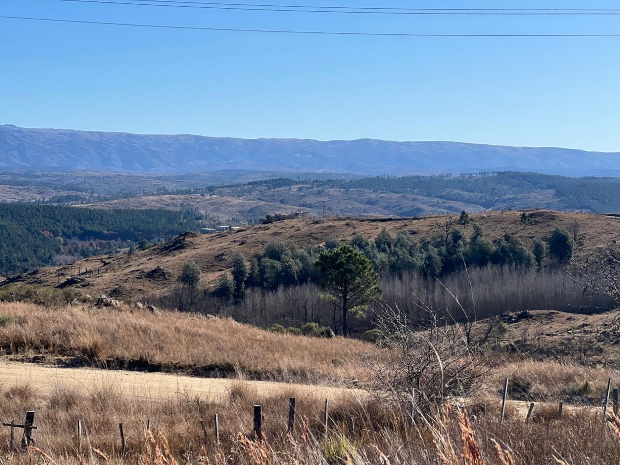 LOTES EN VENTA EN YACANTO - CON POSIBILIDAD DE TU CASA Y VIÑEDO PROPIO