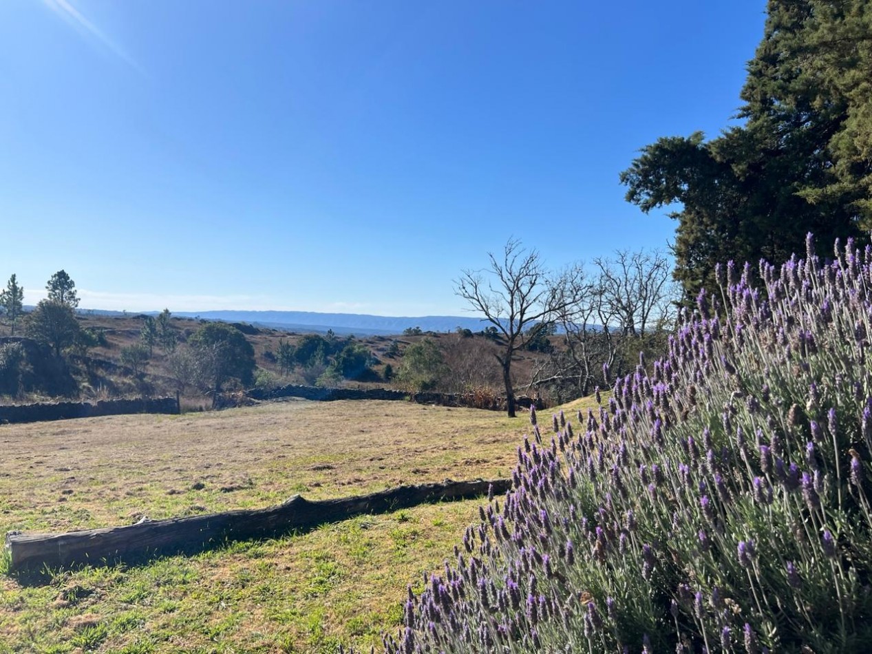 LOTES EN VENTA EN YACANTO - CON POSIBILIDAD DE TU CASA Y VIÑEDO PROPIO