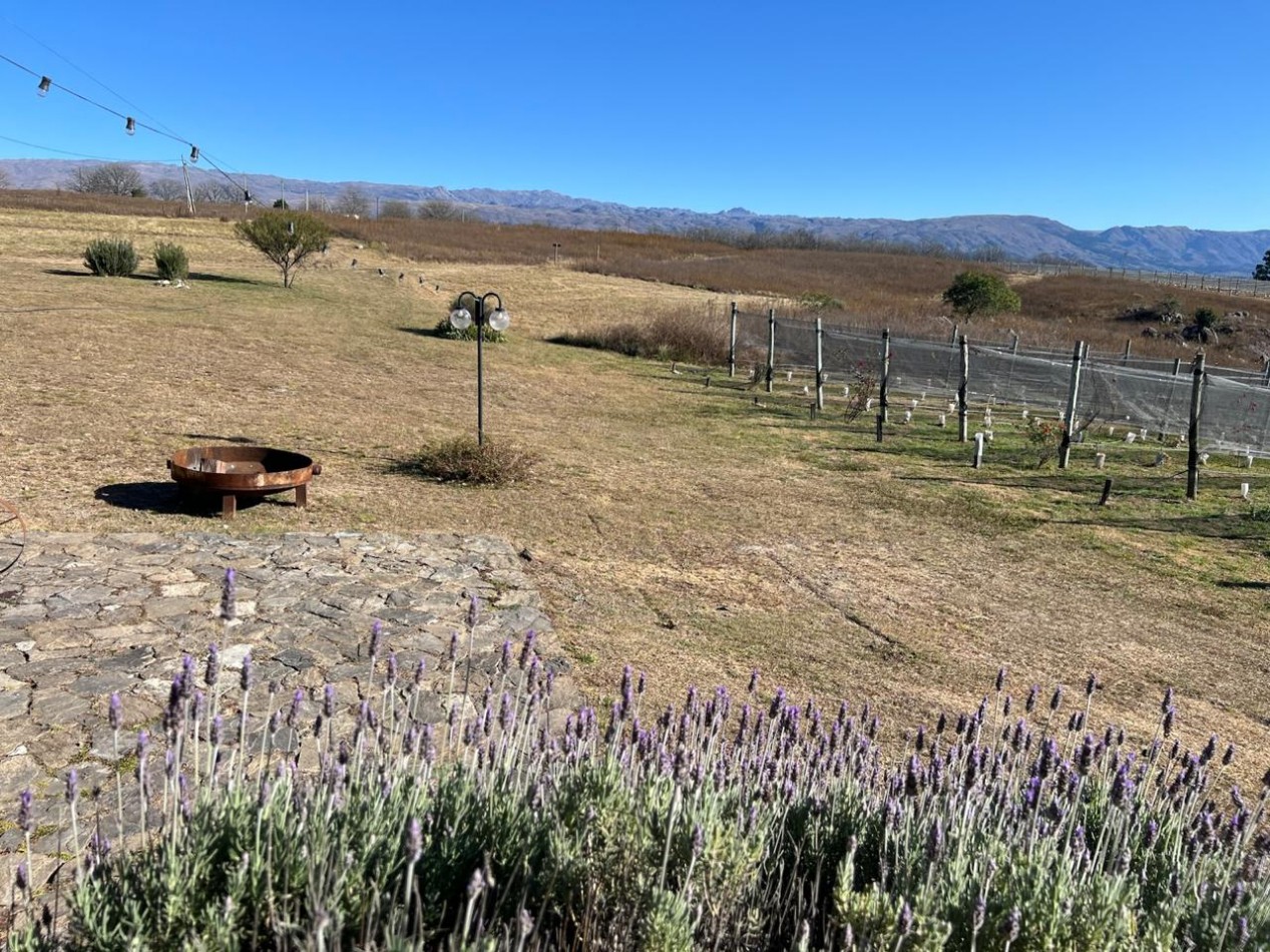 LOTES EN VENTA EN YACANTO - CON POSIBILIDAD DE TU CASA Y VIÑEDO PROPIO