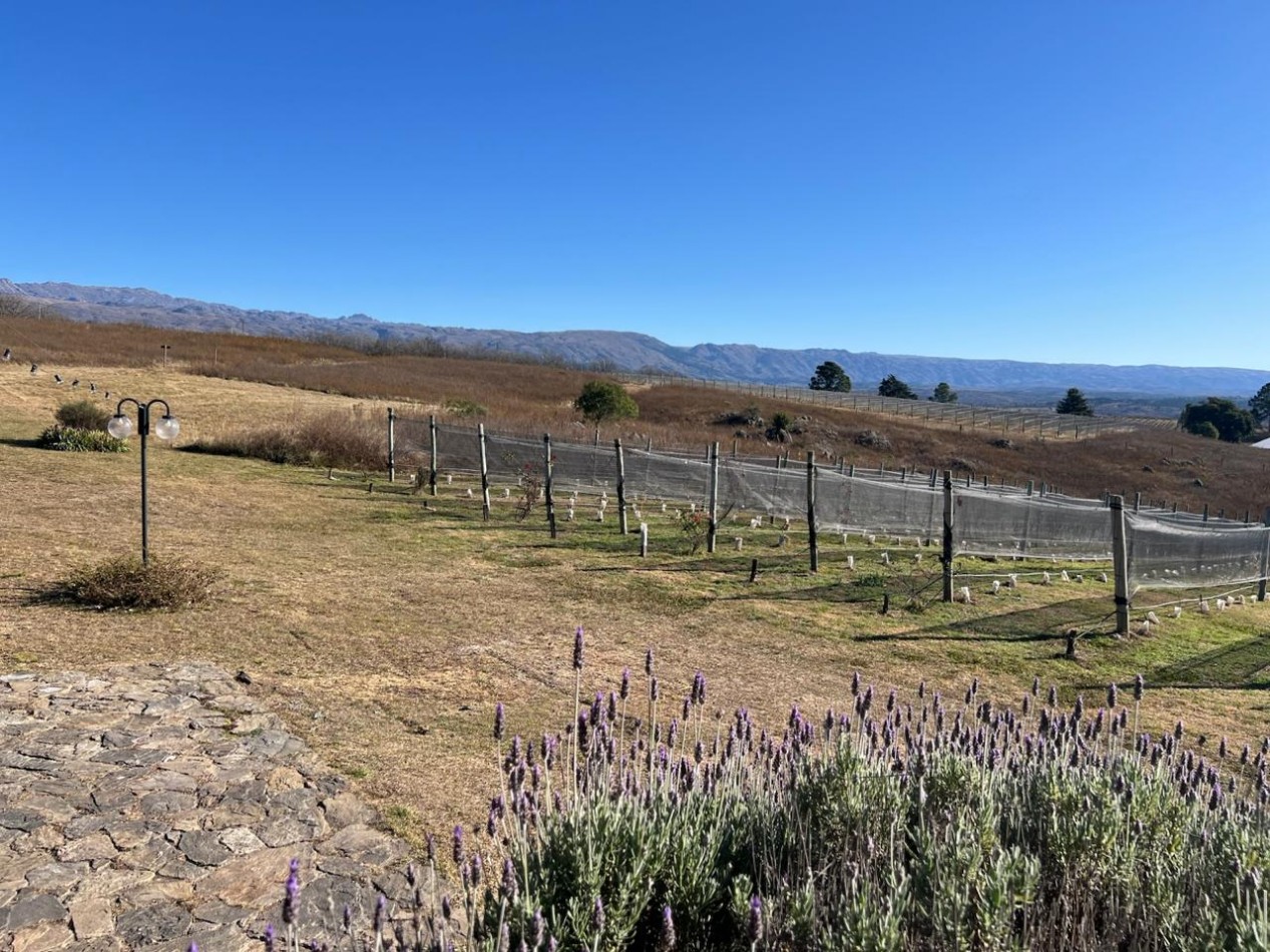LOTES EN VENTA EN YACANTO - CON POSIBILIDAD DE TU CASA Y VIÑEDO PROPIO
