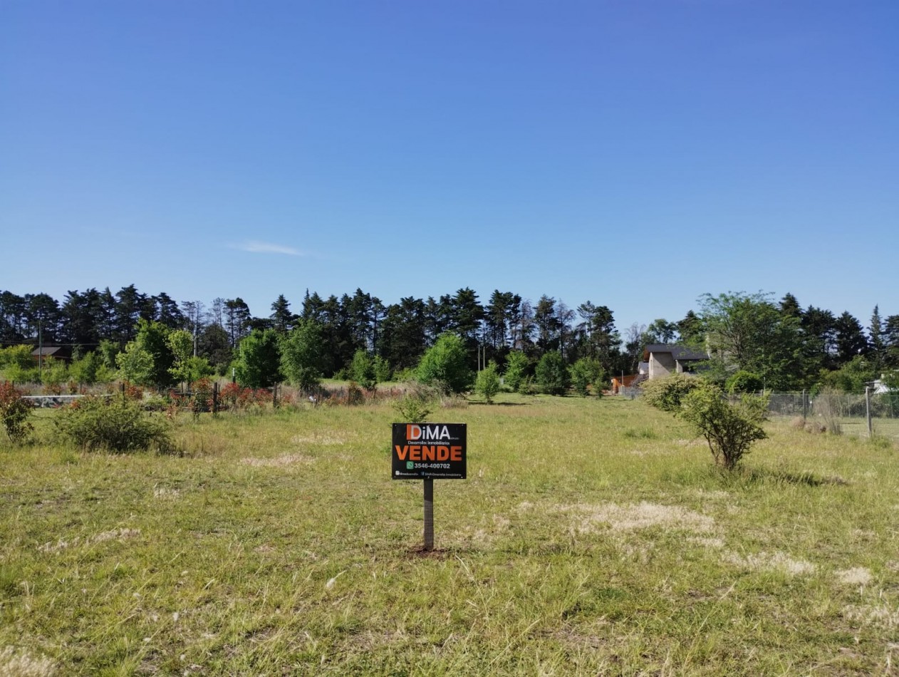 VENTA LOTE DE 1.079 MTS² - BARRIO BRISAS DE TOTORALEJOS - LOS REARTES