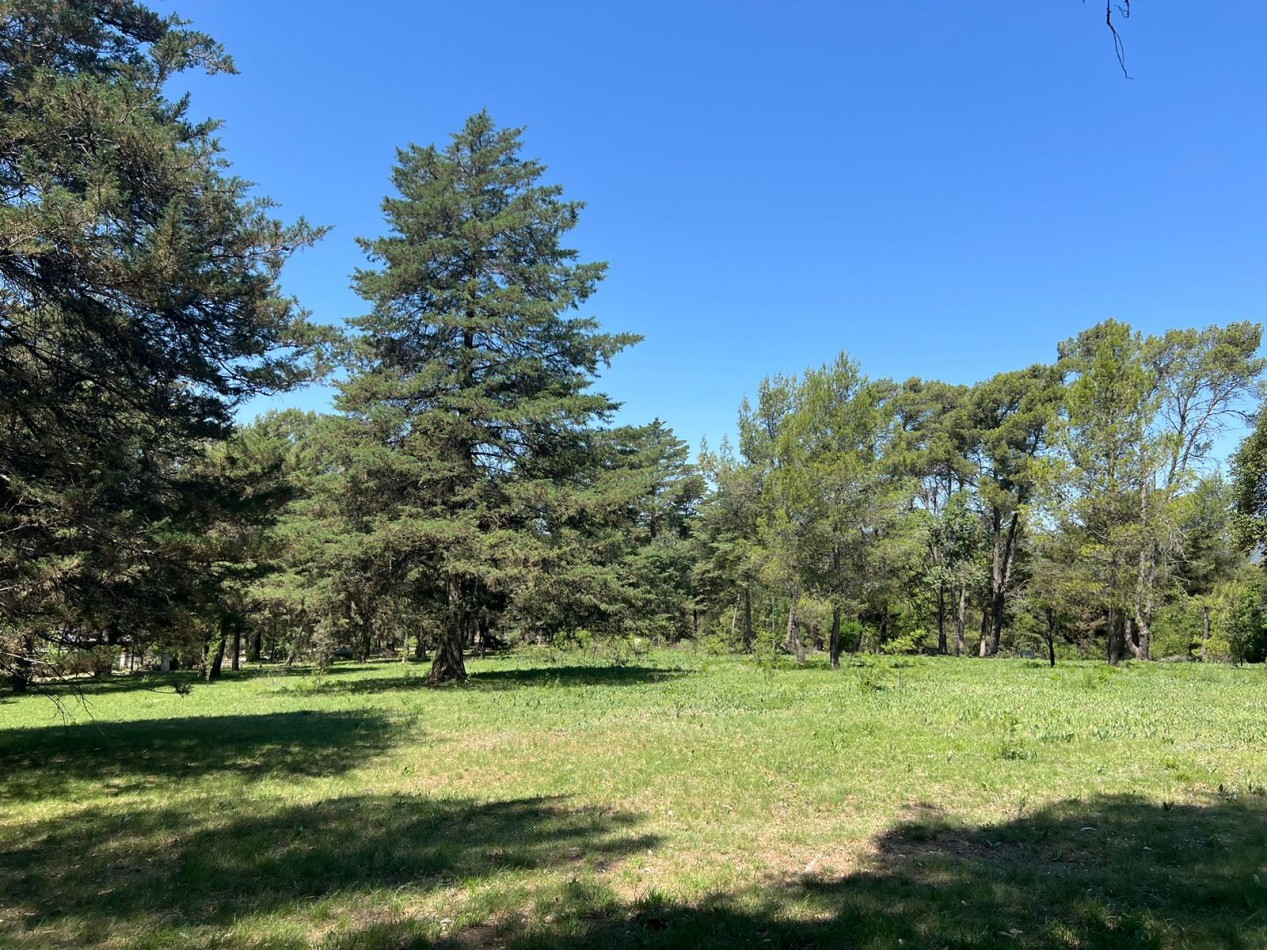 VENTA LOTEO BOSQUECILLO - VILLA GENERAL BELGRANO