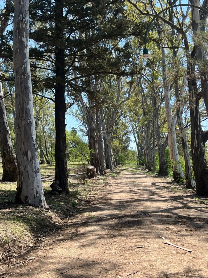 VENTA LOTEO BOSQUECILLO - VILLA GENERAL BELGRANO
