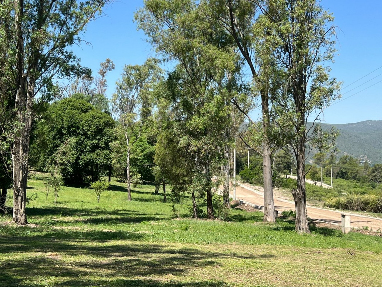 VENTA LOTEO BOSQUECILLO - VILLA GENERAL BELGRANO