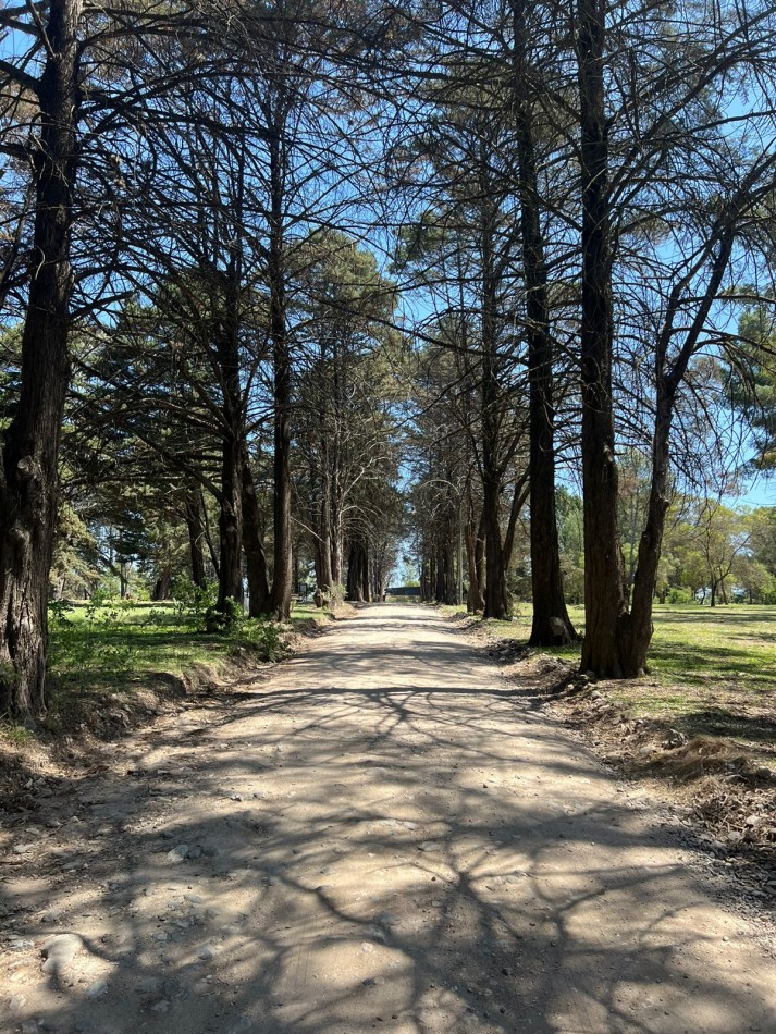 VENTA LOTEO BOSQUECILLO - VILLA GENERAL BELGRANO