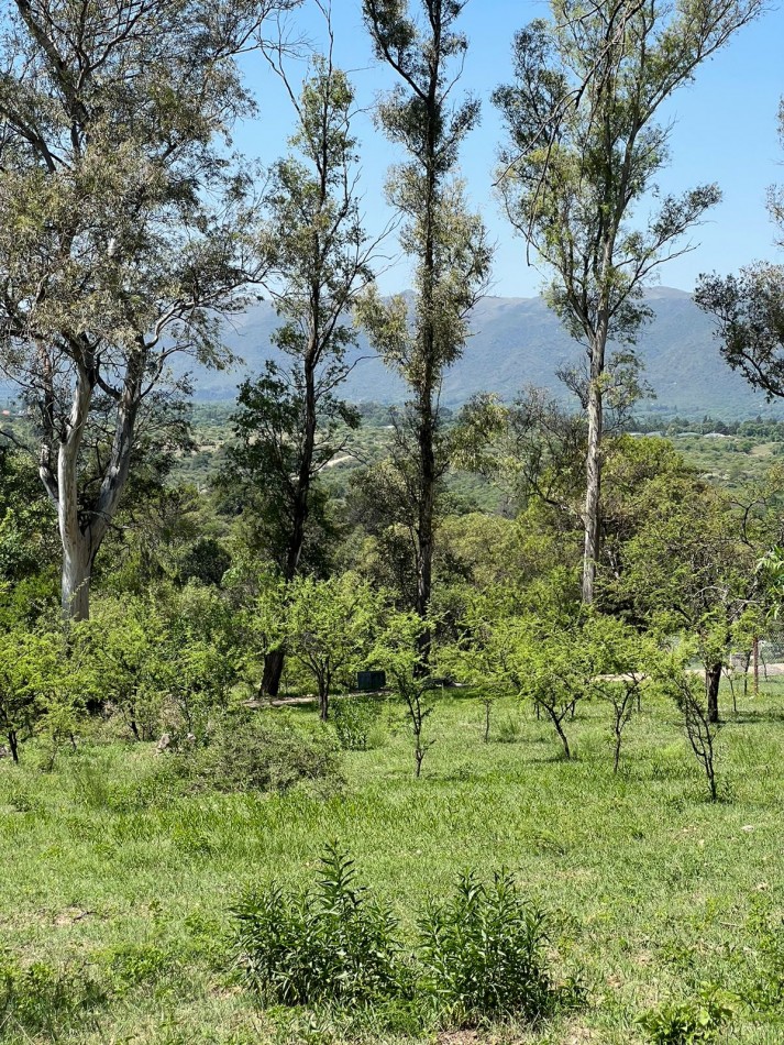 VENTA LOTEO BOSQUECILLO - VILLA GENERAL BELGRANO