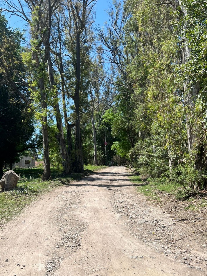 VENTA LOTEO BOSQUECILLO - VILLA GENERAL BELGRANO