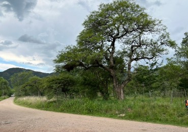 VENTA 4 LOTES EN CERRO DE ORO 