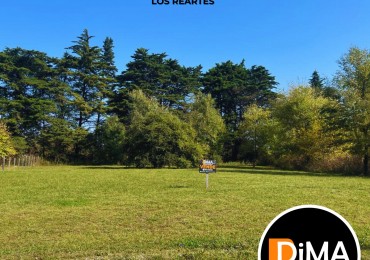 VENTA LOTE DE 1081 MTS² - BRISAS DE TOTORALEJO - LOS REARTES