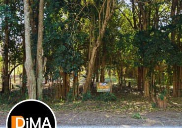 VENTA DE 3 LOTES SOBRE BOULEVARD LOS REARTES - VILLA CIUDAD PARQUE