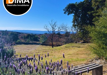 PROYECTO EN VENTA - CAMPO CON VIÑEDO, RESTAURANTE Y LOTES EN YACANTO DE CALAMUCHITA