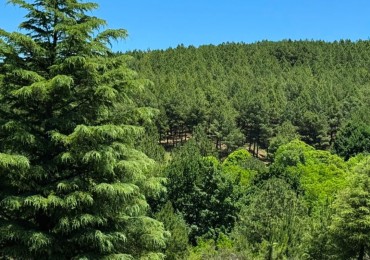 Lotes en Chacras de San Miguel