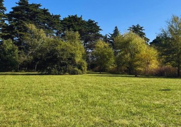 LOTE EN BRISAS DE TOTORALEJO - LOS REARTES