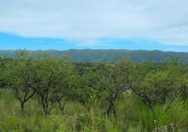 LOTE EN BARRIO TIERRAS DEL SAUCE CON COSTA DE ARROYO - VILLA GENERAL BELGRANO