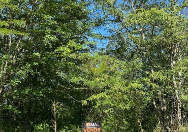 LOTE EN BARRIO GUTIERREZ 488M2 - LOS REARTES 