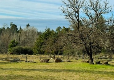 PARCELAS EN ATOS PAMPA