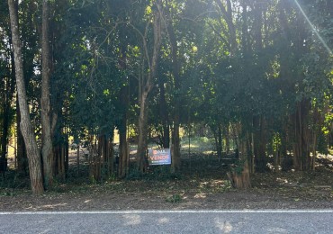 VENTA DE 3 LOTES SOBRE BOULEVARD LOS REARTES - VILLA CIUDAD PARQUE