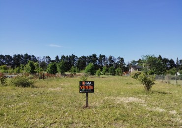 VENTA LOTE DE 1.079 MTS² - BARRIO BRISAS DE TOTORALEJOS - LOS REARTES